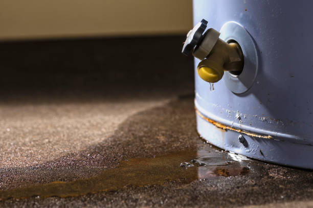  , WV Water damage restoration Pros