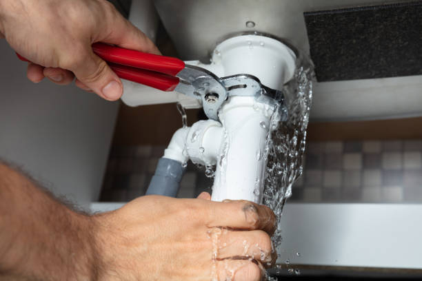 Best Fire Damage Restoration  in , WV