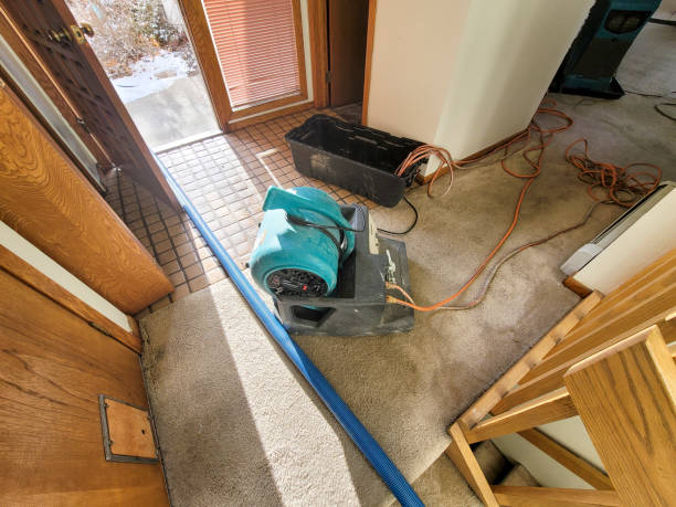 Best Professional water damage repair  in , WV
