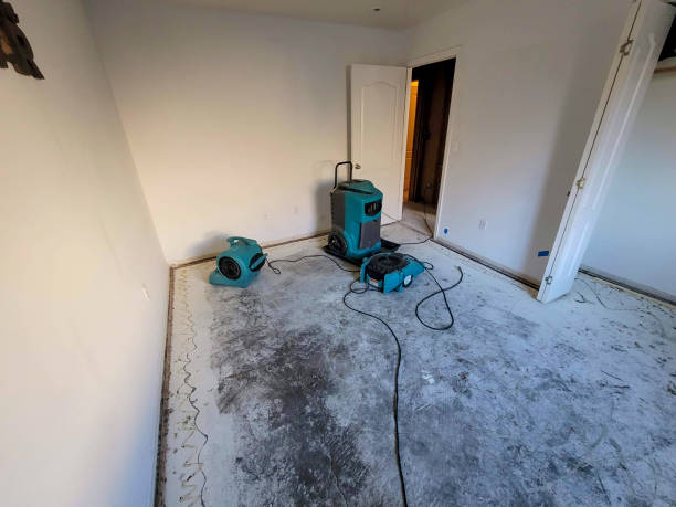 Best Sewage cleanup and water damage restoration  in , WV