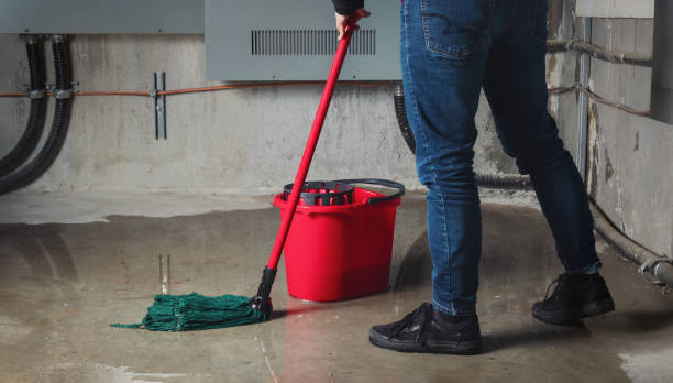 Best Flood damage cleanup  in , WV