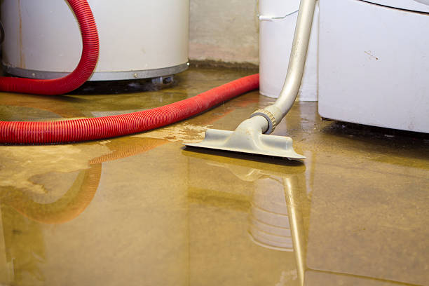 Best Carpet water damage restoration  in , WV