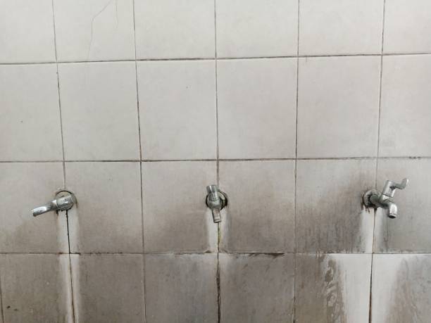 Best Professional water damage repair  in , WV