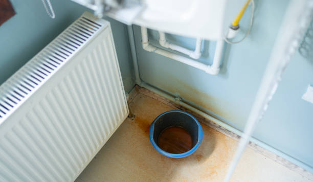 Best Ceiling water damage repair  in , WV