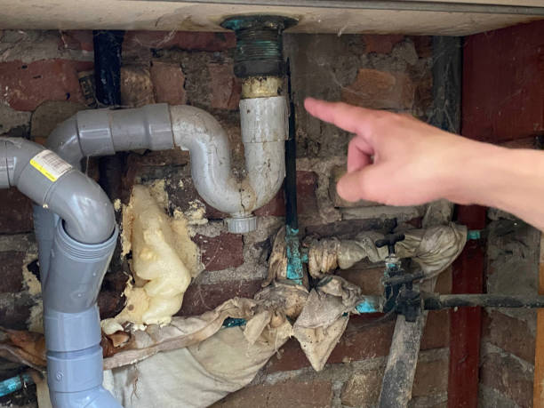 Best Local water damage restoration  in , WV