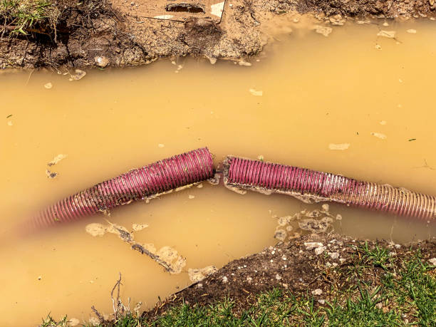  , WV Water damage restoration Pros
