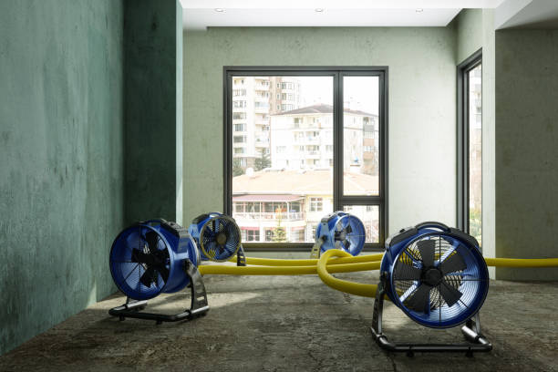 Best Carpet water damage restoration  in , WV
